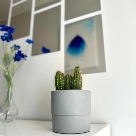 Mmrent Princess Séjour chez l'habitant